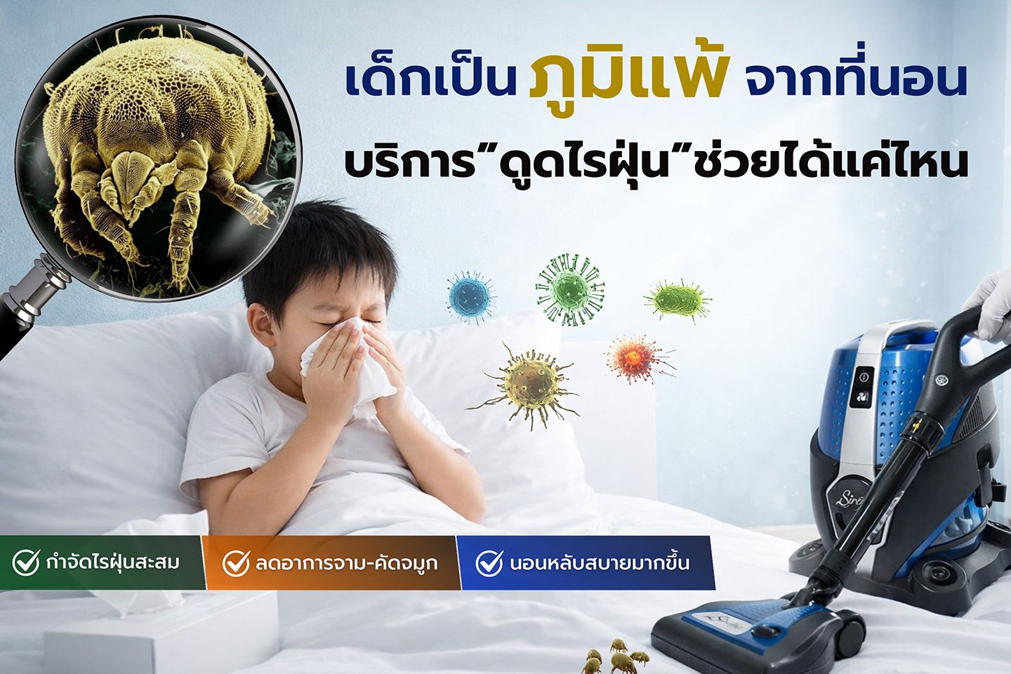ไรฝุ่นในที่นอน